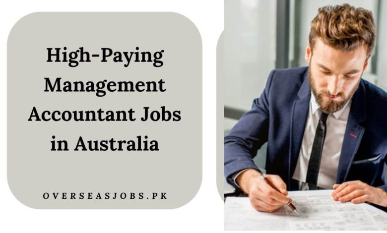 High-Paying Management Accountant Jobs in Australia